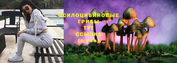 ALPHA-PVP Арсеньев