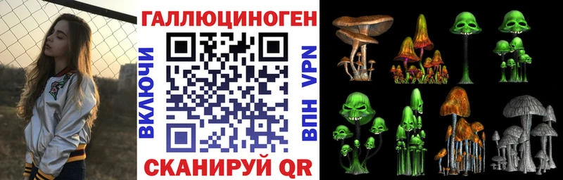Купить  Малоархангельск  Псилоцибиновые грибы Psilocybine cubensis 
